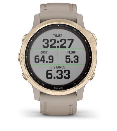 Atrybuty Garmin Fenix 6S Solar Srebrny z czarnym paskiem [010-02409-00]
